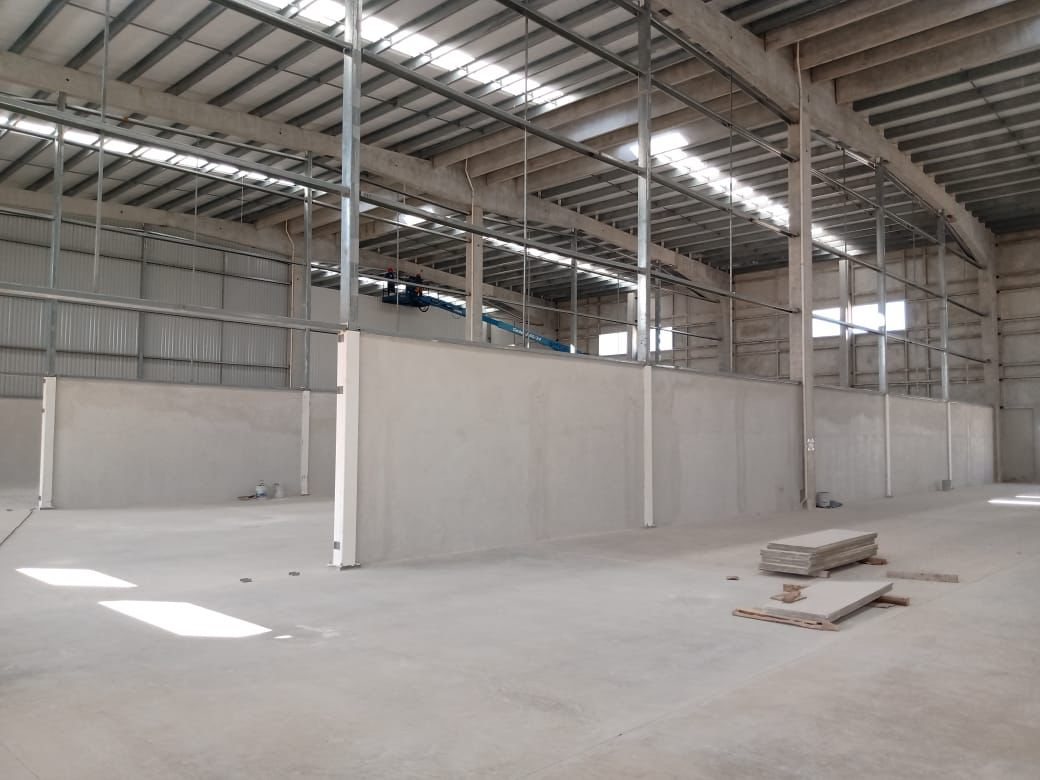 Acabado fino en banqueta de concreto en Salinas Victoria